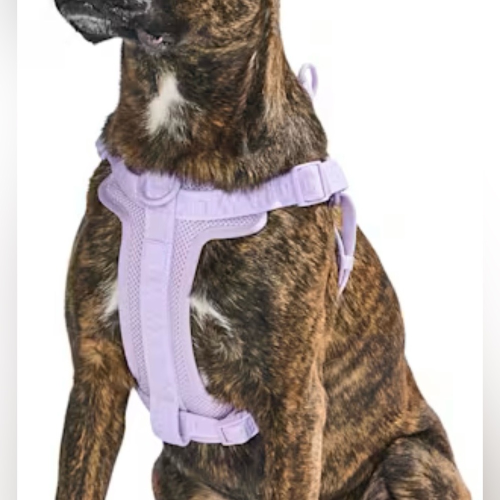 Wild One Dog Harness, Nylon Dog Leash, & Poop Bags - Picture 2 of 15